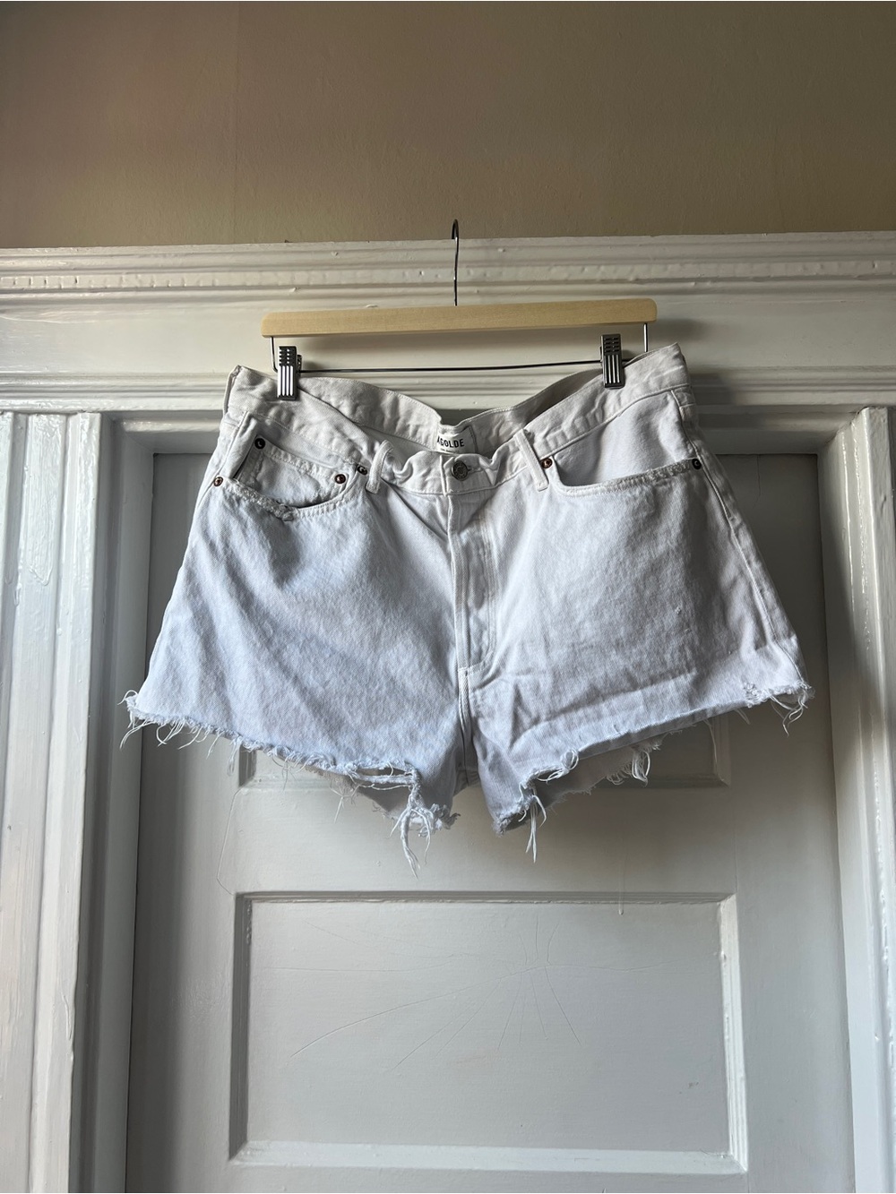 Agolde Parker Shorts